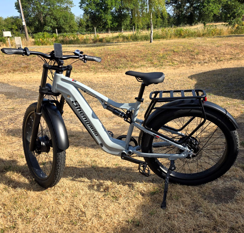 Zoll fat tire - fat, 48v