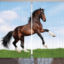 Pferde Rustikale Gardine Pferd