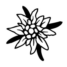 Aufkleber edelweiss tattoo - -,