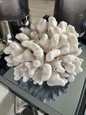 Traumhaft schöne große 3kg schwere weiße Steinkoralle Maße B/T/H in cm: 25/22/13