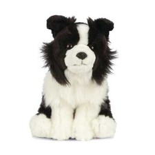 Border Collie sitzend HUND