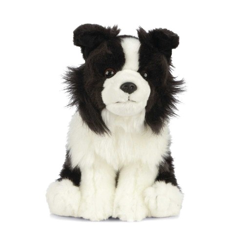 Border collie sitzend hund - sitzend,