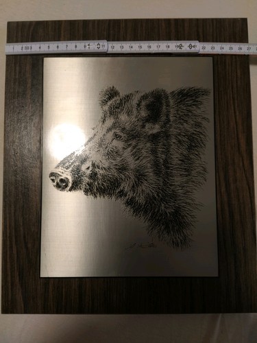 Jagdmotiv wildschwein keiler - wildschwein,