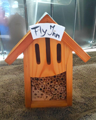 Insektenhotel bienenhaus holz - insektenhotel/bienenhaus,
