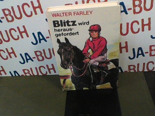 Blitz wird - blitz,, bd.10,