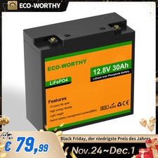 ECO-WORTHY 12V 30Ah LiFePO4 Lithium Batterie Akku für Aussenborder Camping