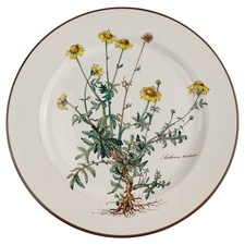 Speiseteller Essteller