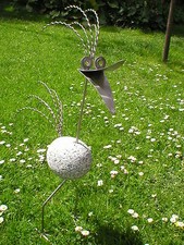 Wilder vogel aus - vogel, v2a