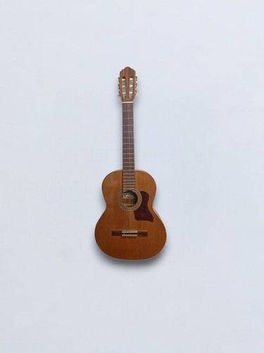 Gitarre granada 65 - gitarre,