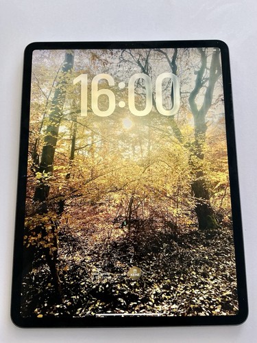 Apple ipad pro gen 256gb - ipad,