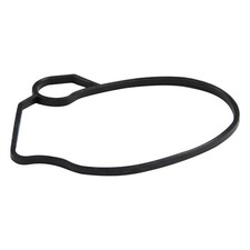 Schwimmerkammerdichtung für