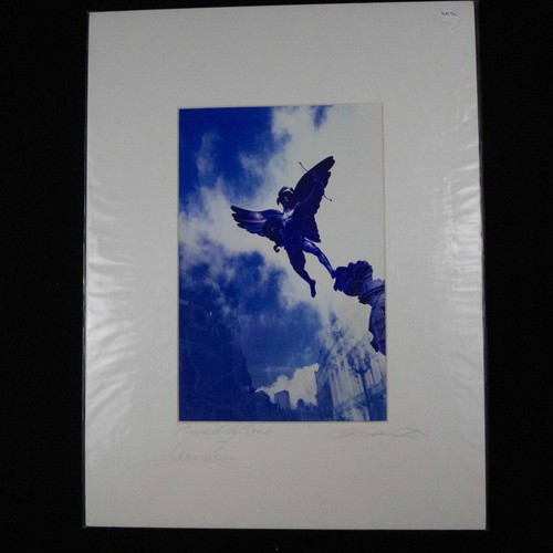 Aldo cervato farbfoto - cervato,