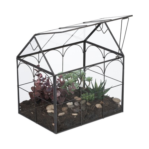 Pflanzenterrarium florarium - pflanzenterrarium,