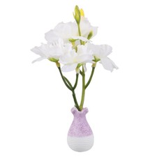  Wackelkopf-sonnenblume