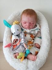 Reborn Rebornbaby NOE Evelina