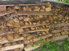 Brennholz Fichte - Raummeter