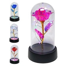 Rose Blume in Glas Kuppel LED