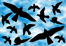 Vögel Aufkleber 12 Stück