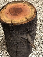Drechselholz Pflaume Zwetschge