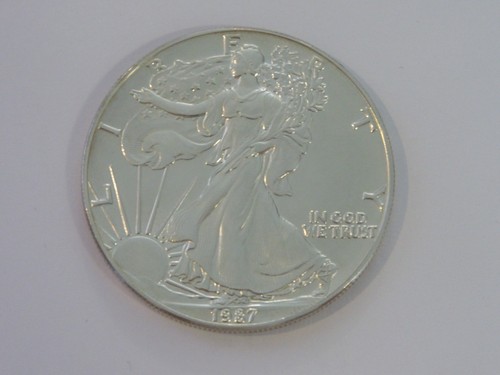 Usa dollar 1 unze - usa,