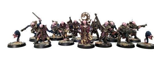 Pro painted 40k - pro, genstealer