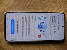 Samsung Galaxy S21 FE 5G Display LCD defekt Glasbruch