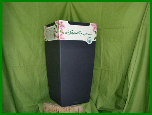 Lechuza cubico color - cubico,