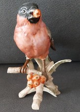 Sammler Goebel Vogel 1975 3893016 gebraucht