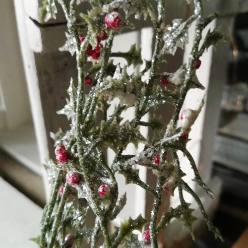 5fach stechpalme beeren 25 - stechpalme,