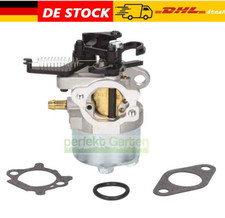 Vergaser für Briggs &