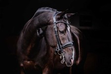 PS of Sweden Schwarz Cob