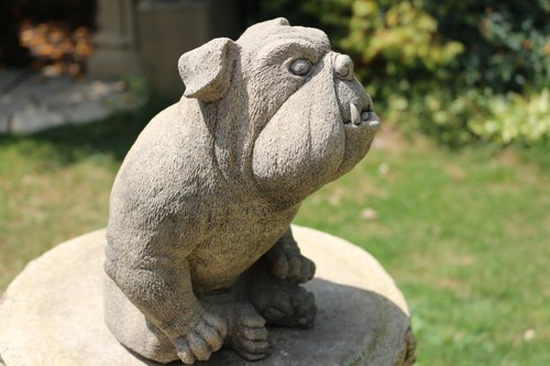 Bulldogge mittel steinfigur - bulldogge,