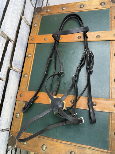 Englische grackle trense - grackle,