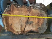 Drechselholz Stamm Kirschholz Stammholz Kirsche Bastelholz Gabelung Platte