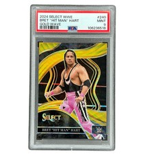 Bret the hitman hart - hitman",