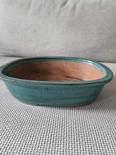 Bonsai schale oval glasiert - bonsai-schale,
