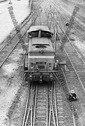 Fotoabzug 10x15 v60 1285 - v60,