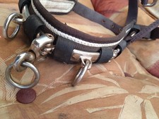 Kappzaum, Cob, Braun , 3 Fach Polsterung, Ausbilden, longieren, verstellbar 