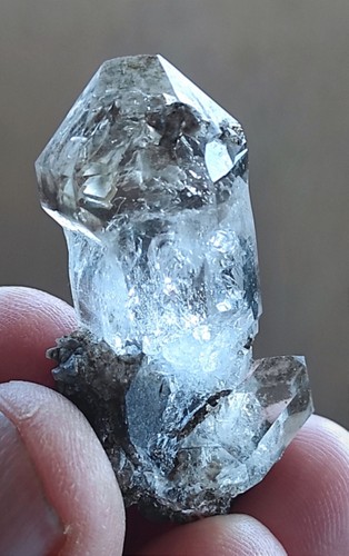 Perfekter scelet zepterfenste - perfekter, scelet-zepterfenste