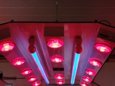 Pferdesolarium Sunny III