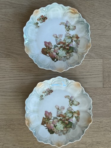 Co bavaria porzellan - ,