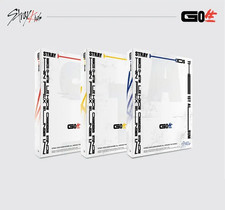 stray kids 1st album GO LIVE |