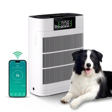 Luftreiniger Raucherzimmer Air