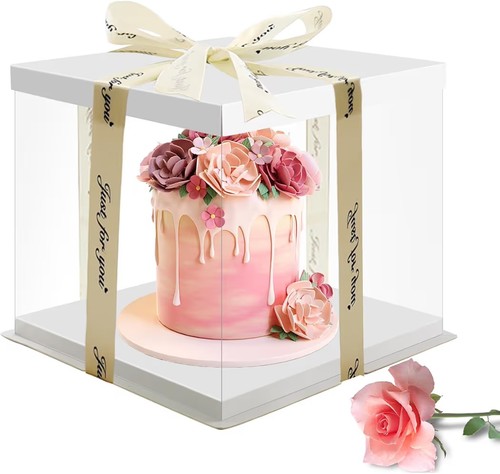 Wentsent tortenbox transparent - wentsent,