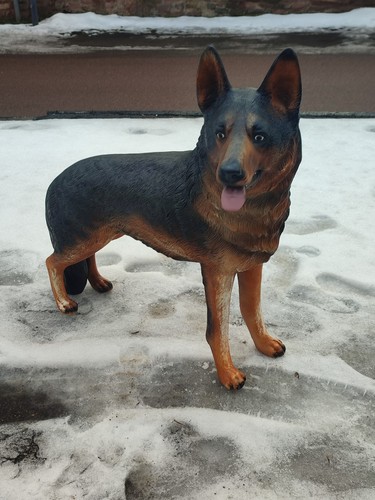 Schäferhund lebensgroß