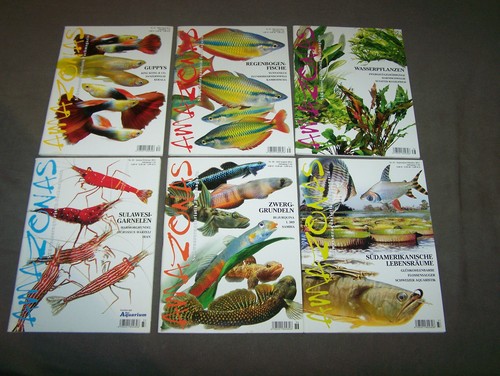 Amazonas magazin - x,
