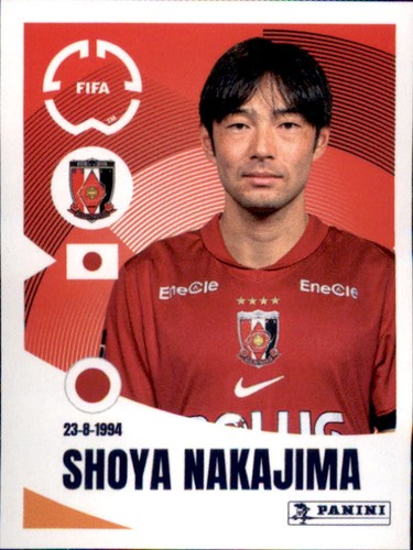 Panini fifa club - panini, world
