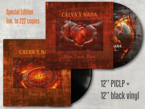 Calva nada palpita - calva, ¡palpita