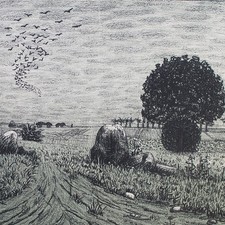 Unbekannt Feld und Wiesenlandschaft Farblithografie unsigniert 1905