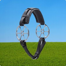 Stuebben Sonnenrad, Stübben